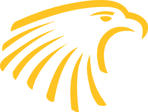 Embry-Riddle Eagles